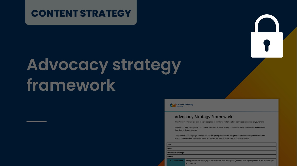 Advocacy strategy framework