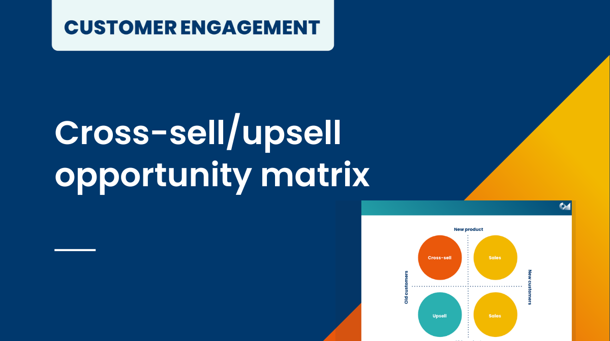 Cross-sell/upsell opportunity matrix