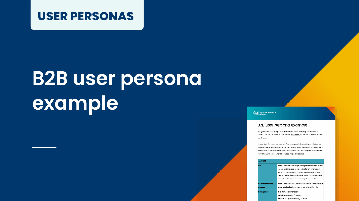 B2B user persona example