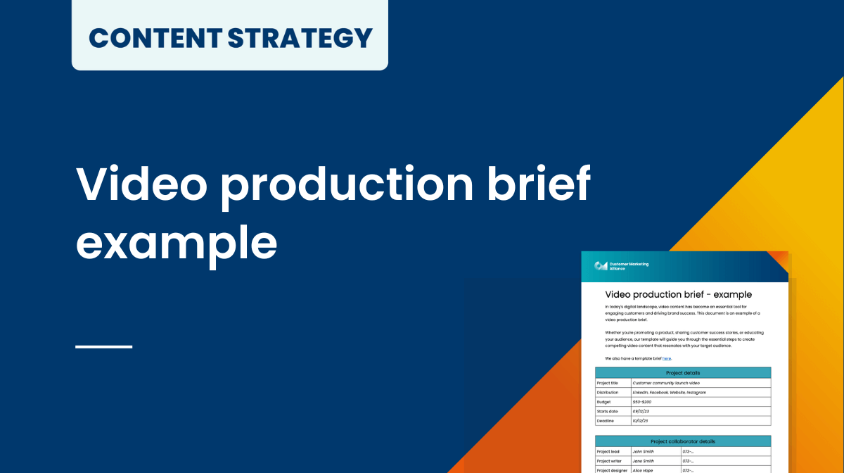 Video production brief example